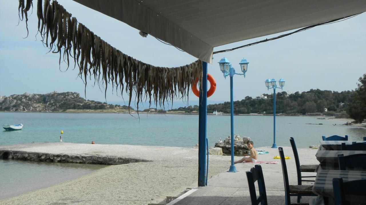 Cosy Guesthouse-Souterrain With Garden In City Center Corinth Kültér fotó