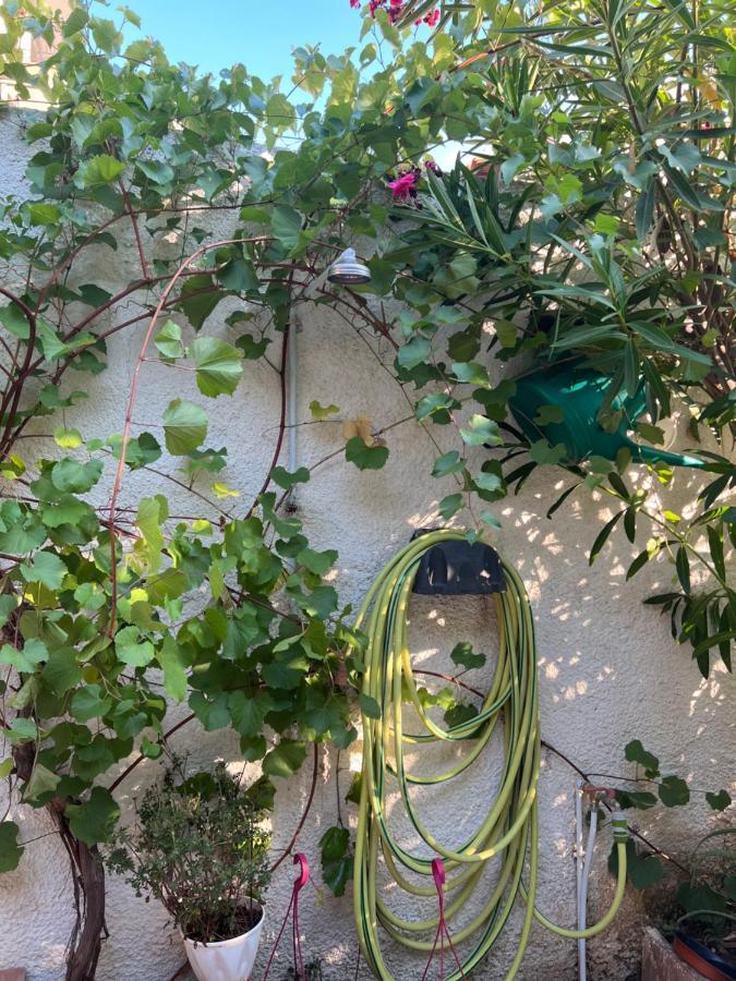 Cosy Guesthouse-Souterrain With Garden In City Center Corinth Kültér fotó