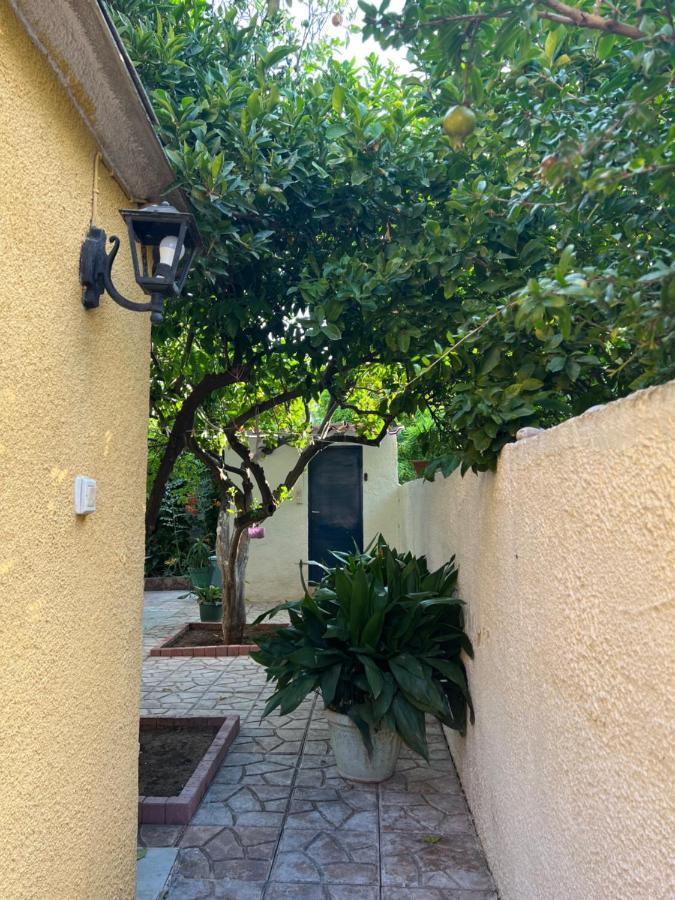 Cosy Guesthouse-Souterrain With Garden In City Center Corinth Kültér fotó