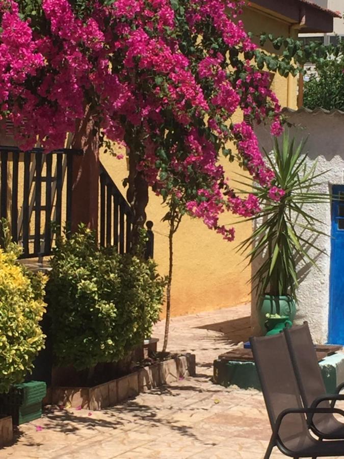 Cosy Guesthouse-Souterrain With Garden In City Center Corinth Kültér fotó